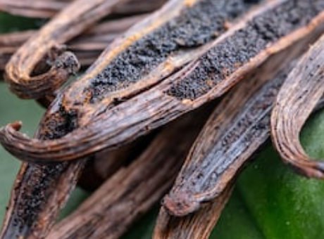 vanilla fragrance oils