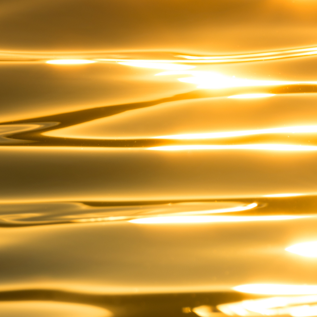 1 Million Type Fragrance Oil - Gold Edition