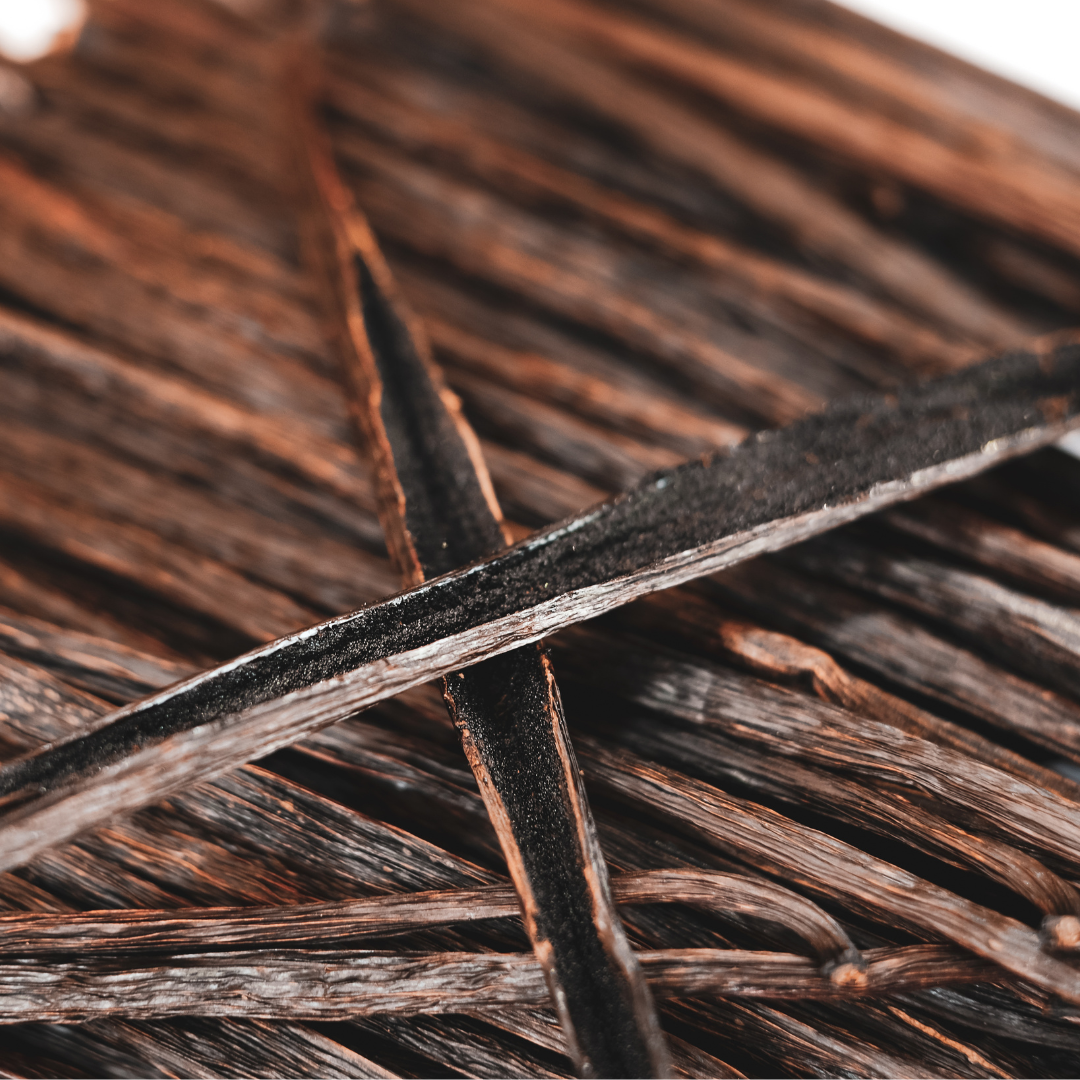 Vanilla Bean Fragrance Oil - Madagascar Edition