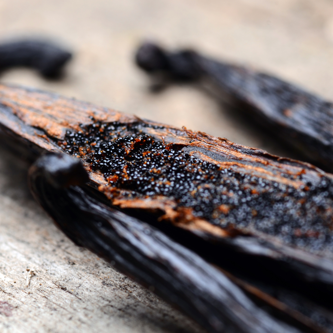 Vanilla Bean Fragrance Oil - Madagascar Edition